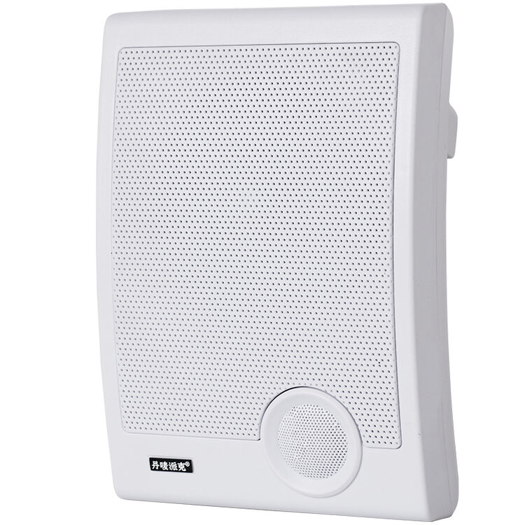 室内壁挂背景音乐系统 公共广播音响 教室超市店铺商场壁挂喇叭 ws