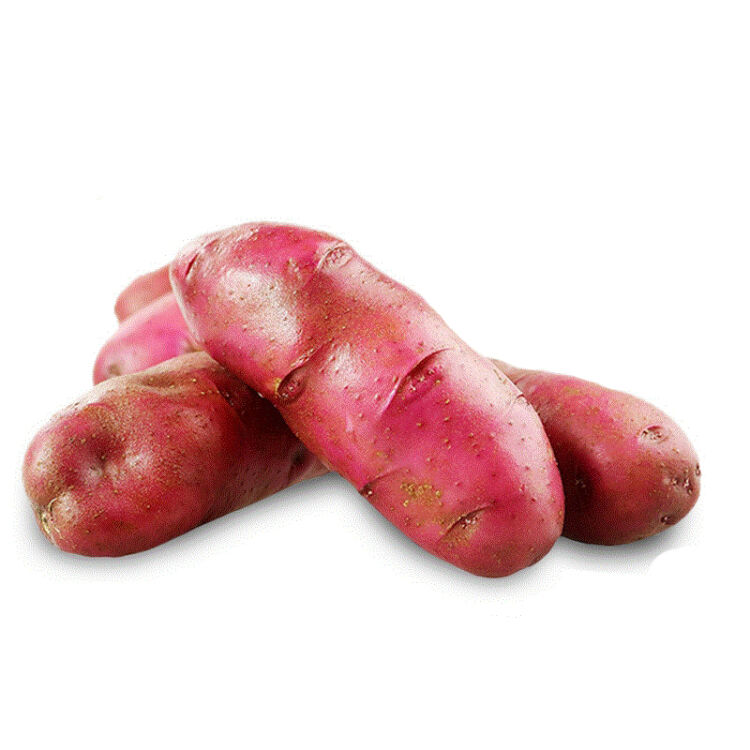 5kg 红皮 红心土豆 马铃薯地蛋 新鲜蔬菜农产品