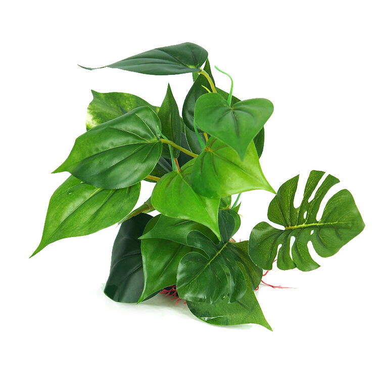 俪鱼(liyu)大叶水榕 帆布叶片 高度25cm 鱼缸造景仿真水草 塑料假水草