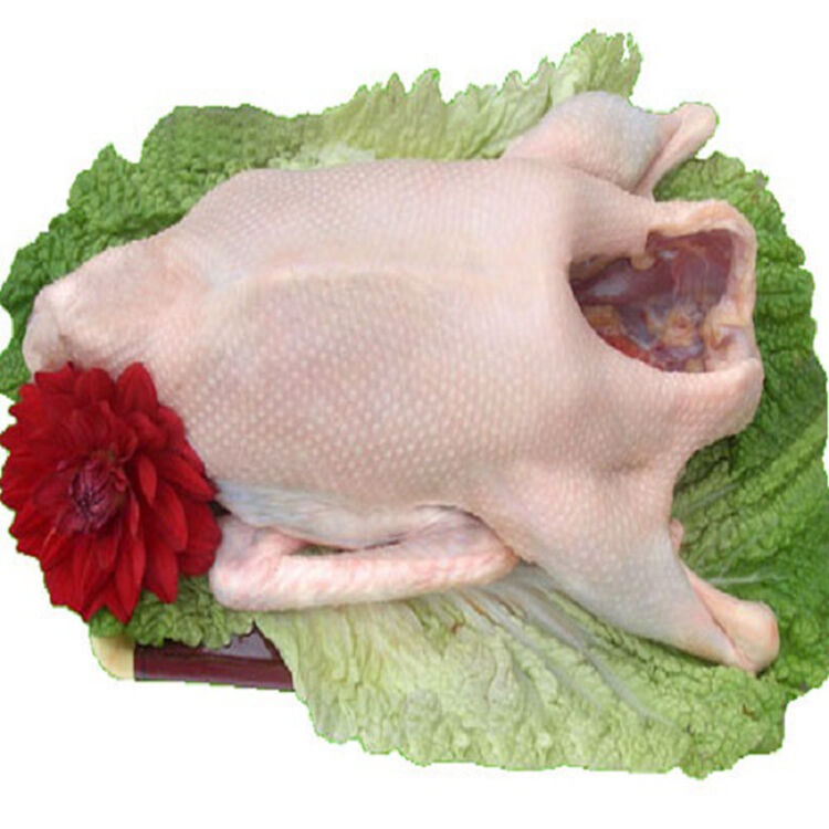 新鲜鹅肉 现杀农家散养土鹅 草鹅 土鹅老鹅 大白鹅 大鹅青年鹅 净重7