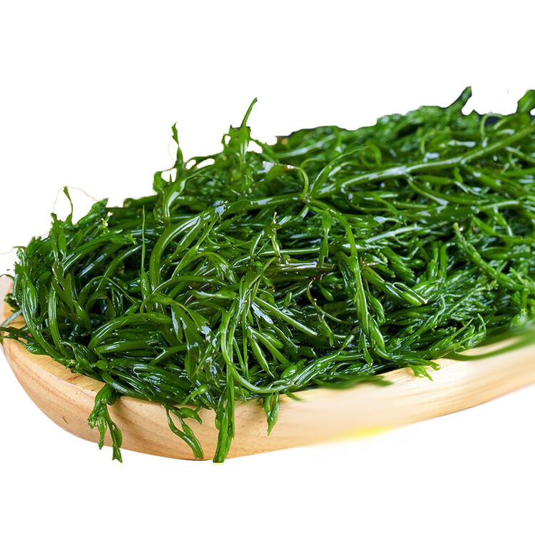 新边界 海藻 盐渍马尾藻 长寿菜 海草 鞭炮竹海带 海白菜 特价10斤