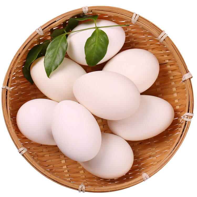春朝 苏北新鲜鹅蛋 6枚