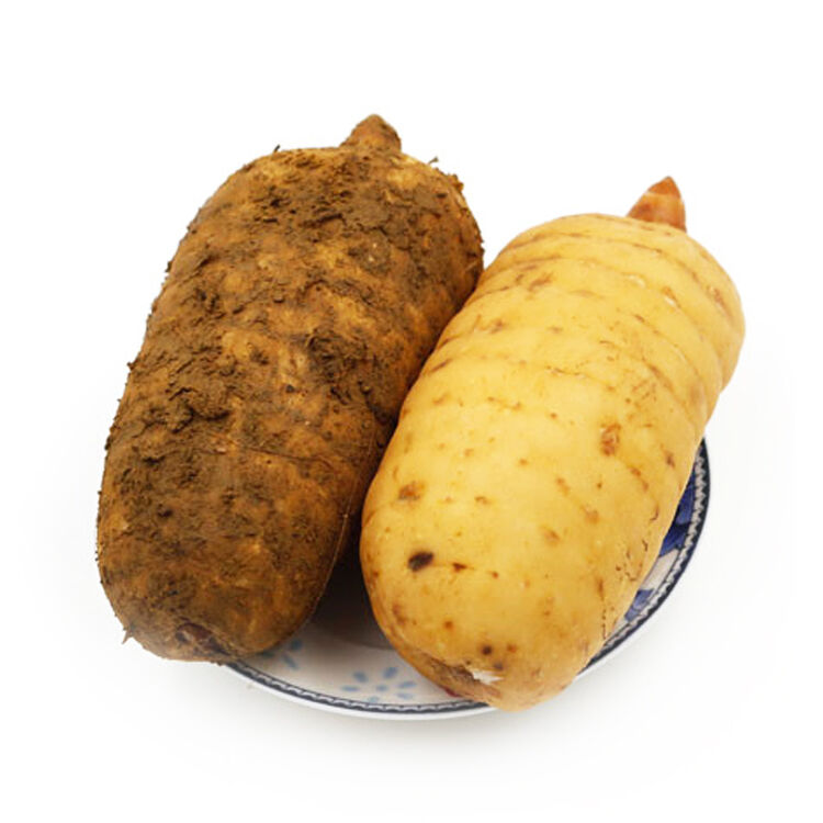 陕西汉中新鲜仿野生天麻冬麻 1kg