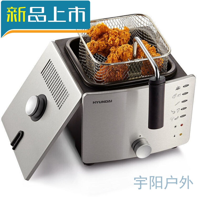 恒温电炸锅家用无烟油炸机多功能小型油炸锅炸薯条机 深灰色pzrm60