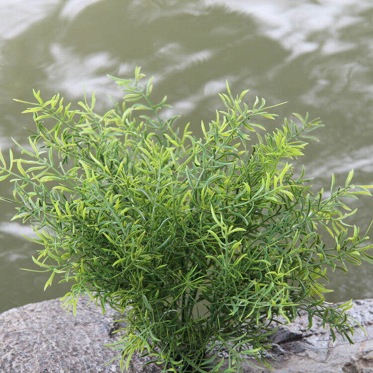 知根 塑料花 假草 仿真草 天门冬 高仿真插花草 仿真小草假绿植 装饰