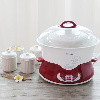 天际(tonze)电炖锅隔水炖 煮粥炖汤全自动1锅5胆dgd40-40dwg 4l 凑单