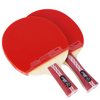 2021年乒乓球品牌排行榜前十推荐