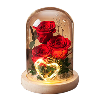 2021年永生花品牌排行榜前十推荐