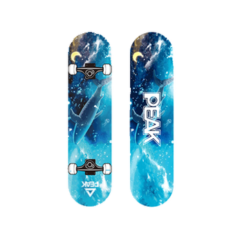 2021年滑板品牌排行榜前十推荐