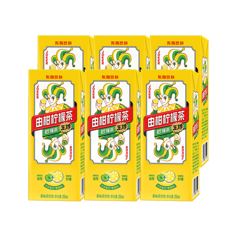 东鹏特饮 果香浓郁饮料