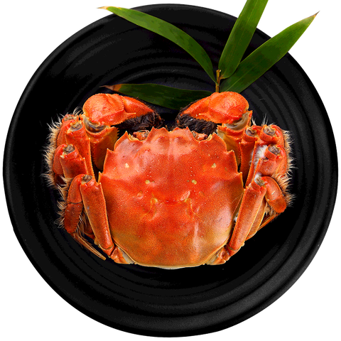 水淼鲜 鲜甜可口大闸蟹