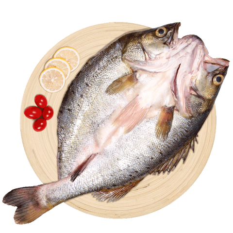 仙泉湖 三去白蕉海鲈鱼