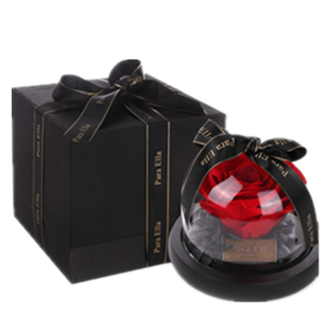 Para Ella 红色永生花