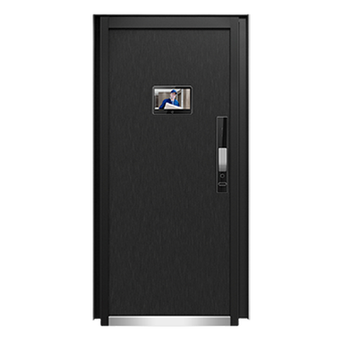 挺固 智能防盗门