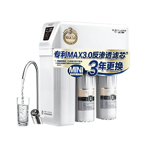 史密斯 大流量净水器