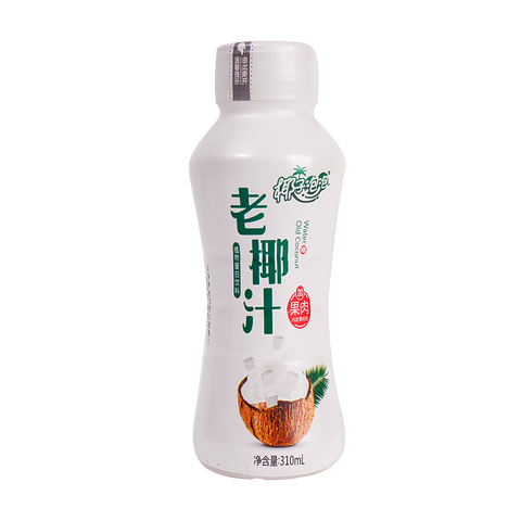 椰子泡泡 植物蛋白饮料