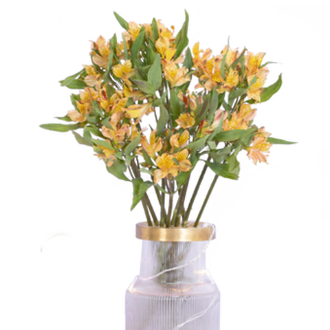 京东鲜花组合款定制鲜花