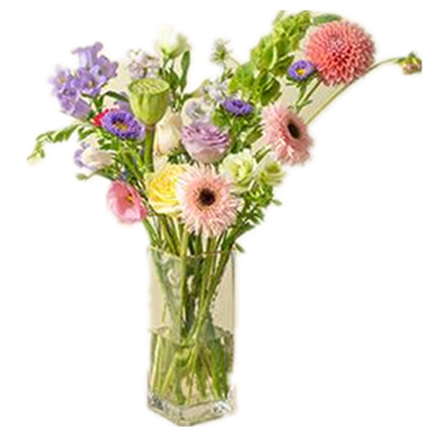 花点时间应季稀有鲜花