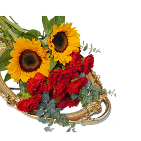 远方的花康乃馨鲜花