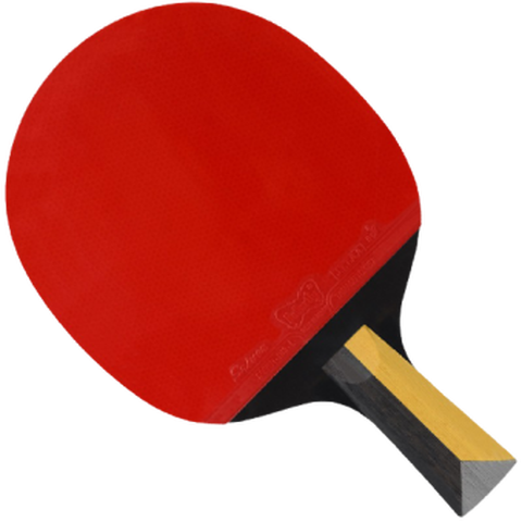 蝴蝶 碳底板乒乓球拍
