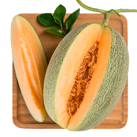 京觅 新疆西州哈密瓜