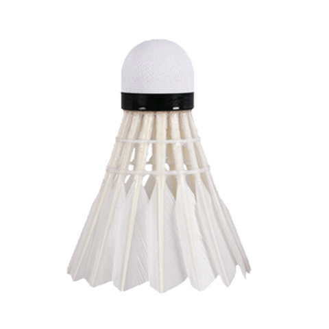 亚狮龙 高弹耐打 羽毛球