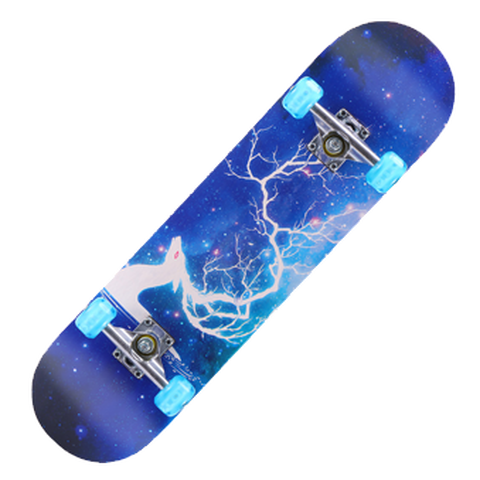 瑞丰 四轮双翘滑板