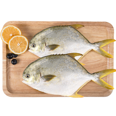 翔泰 国产海南金鲳鱼