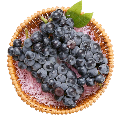 京觅 清甜夏黑无籽葡萄