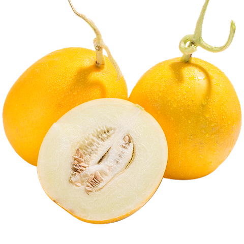 京觅 脆甜黄金蜜瓜