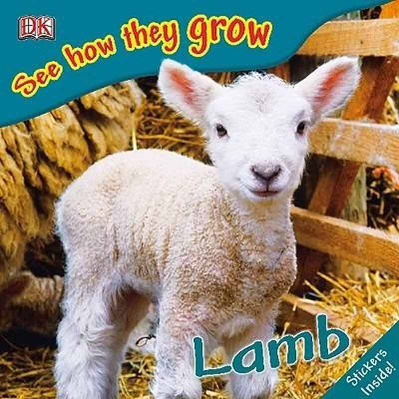 lamb - 京东触屏版