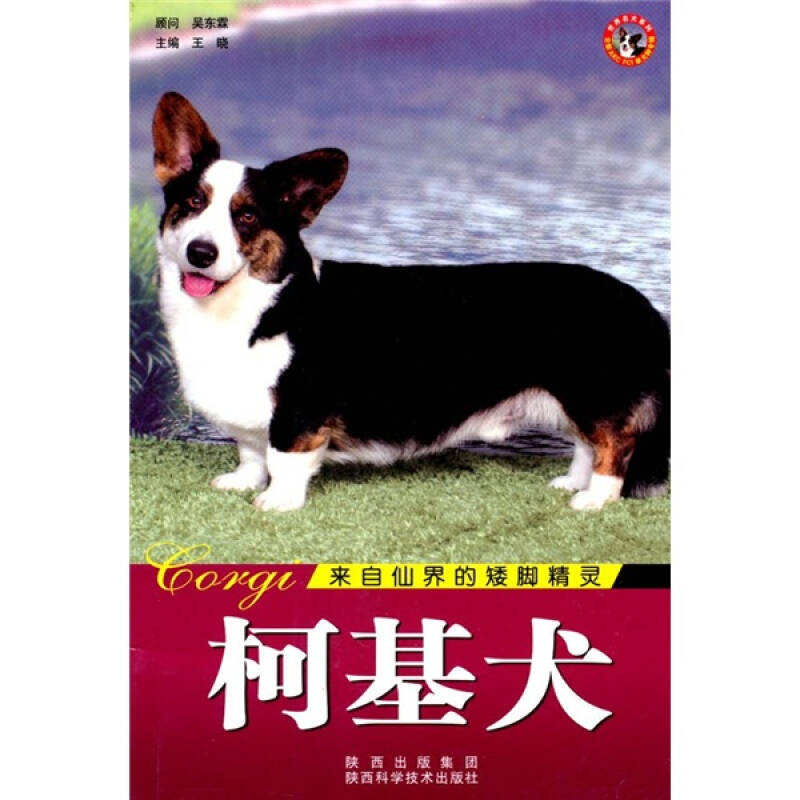 世界名犬:柯基犬 自營