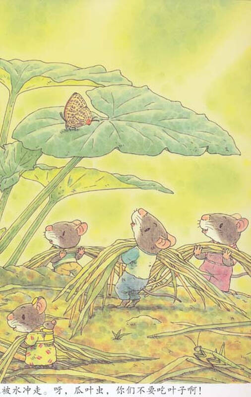 14只老鼠系列:14只老鼠种南瓜