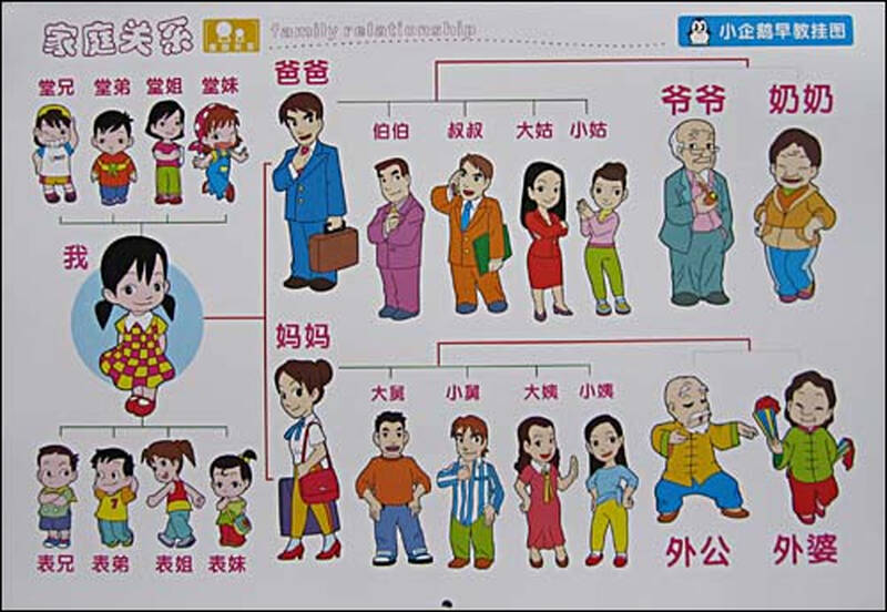 小企鹅宝宝最爱系列·早教挂图:综合认知2(0-3岁)