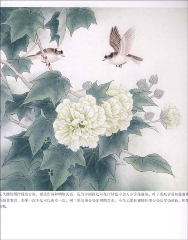 工筆芙蓉畫法