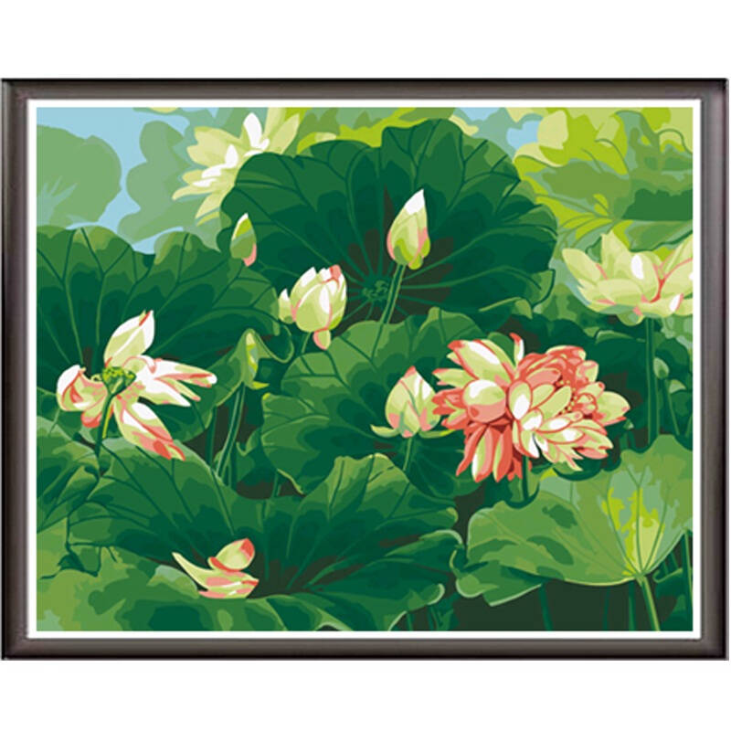 手绘油画 diy数字油画 盛夏荷花40x50cm