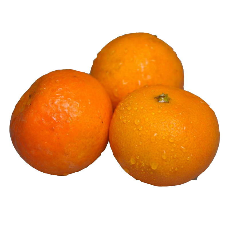 天草柑橘 净重约2kg 桔子 新鲜水果