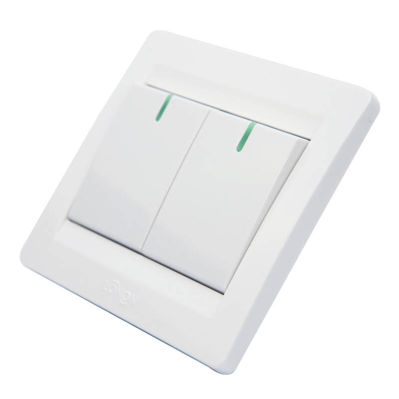 朗能nb5.0系列二位单极大翘板开关