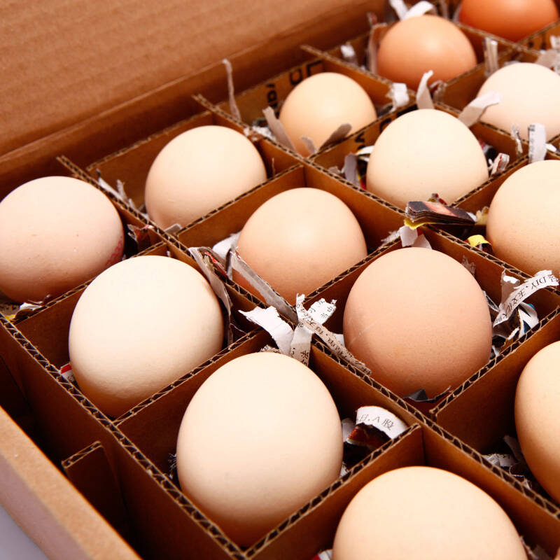 生态虫草蛋20枚