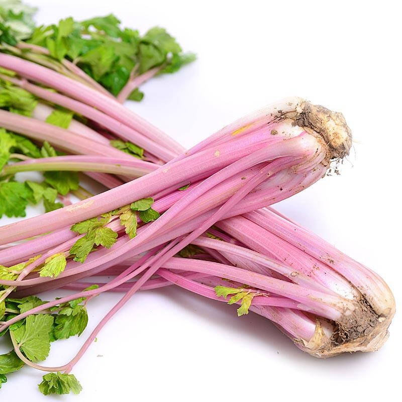 【沱沱工社】生态红芹菜 约500g/份(仅限北京六环内销售)