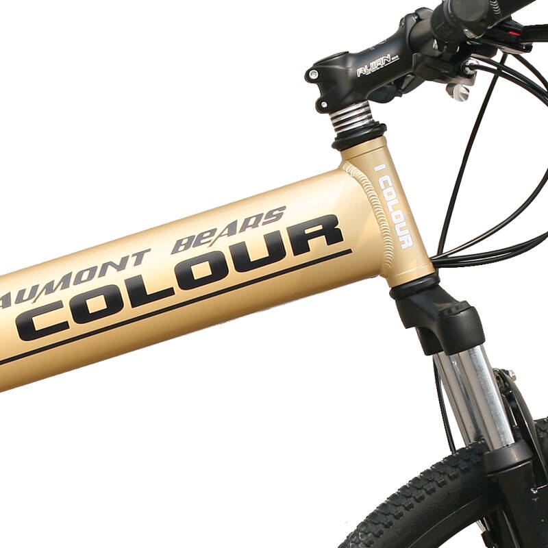 骑彩自行车 26寸21速路虎折叠自行车双碟刹铝合金车架折叠山地车 热情