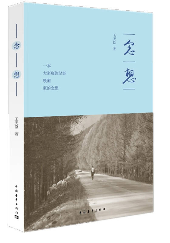念想