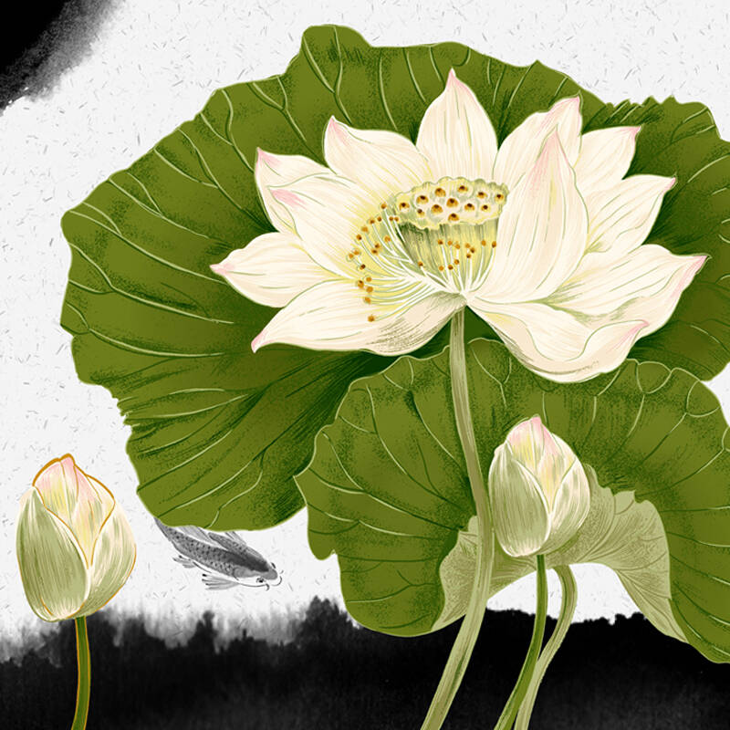 兰诗(lautee) 时尚装饰画无框画 荷花 ght0020 40*40cm