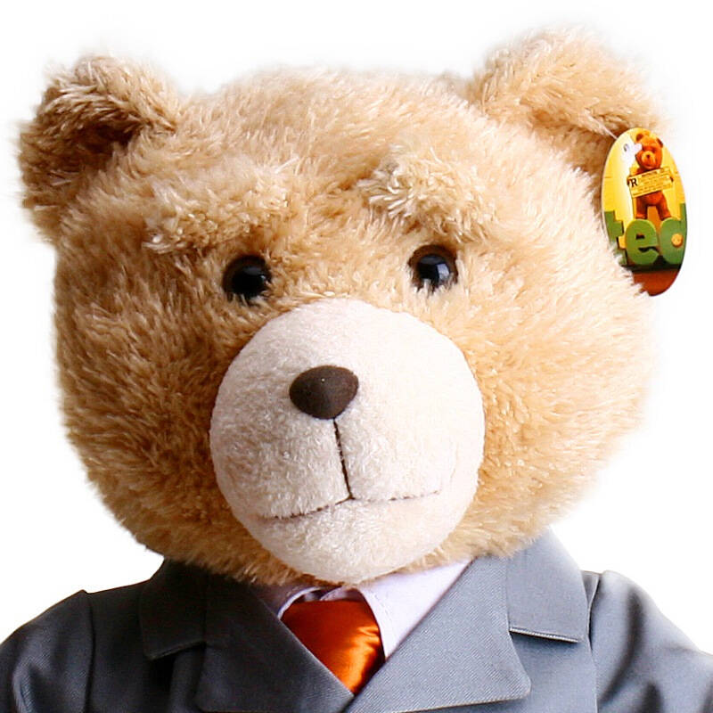 泰迪熊头像西装图片