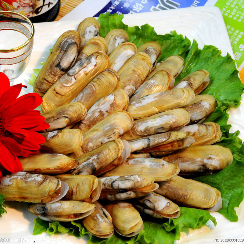 天天海鲜 鲜活 蛏子500g 海蚬 刀蚬 鲜活贝类 250g