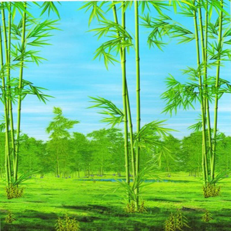 欧雅派 卷帘 高清山水风景系列 厨房客厅书房窗帘成品定做 家居办公