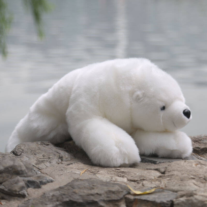 韩国toyclub专柜正品睡北极熊 北极熊公仔 北极熊毛绒玩具小白熊 如图