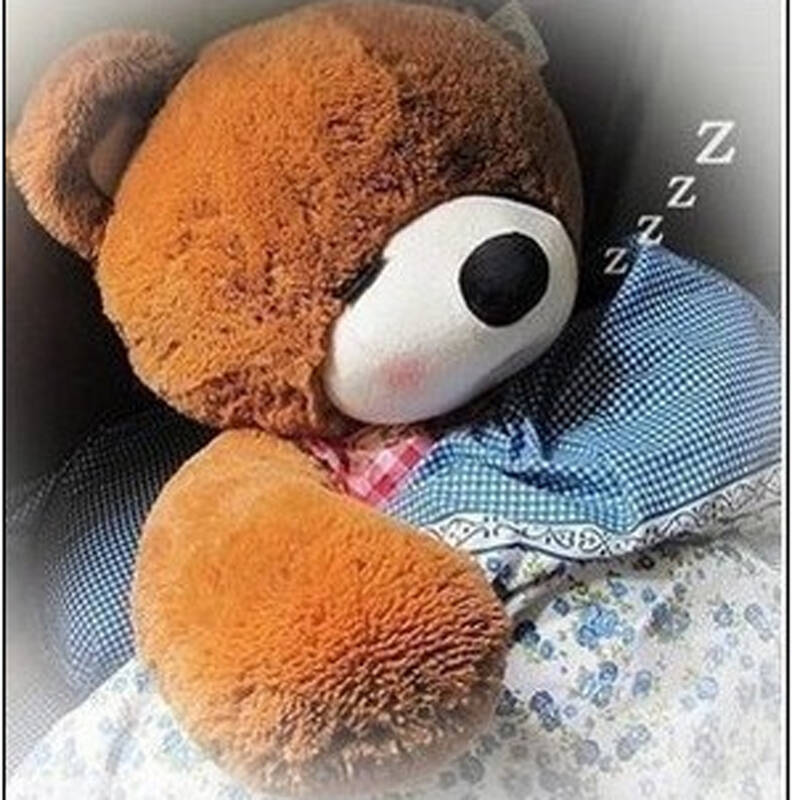 luckyted 正版毛绒玩具熊公仔娃娃熊熊大熊瞌睡熊泰迪熊生日女友礼物