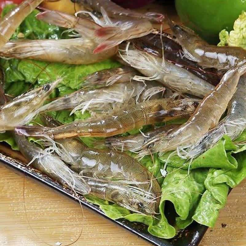 野生大白虾 鲜活南美白对虾 500克/30-60个
