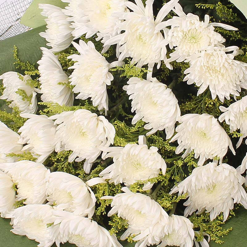 清明节鲜花速递 扫墓花束 黄白菊花 祭奠哀思同城配送 25朵白菊花十一